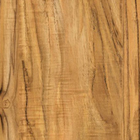 AFRICA TEAK W004 