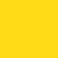 BOLD YELLOW S009 